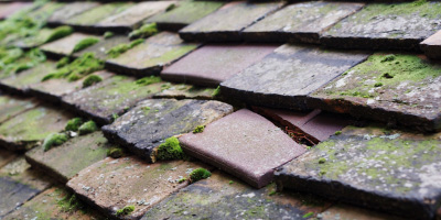 Hyde End roof repair costs